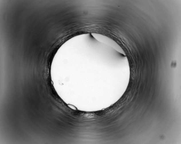 X0000103460324200810101156