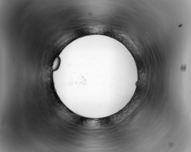 X0000103460325200810101156