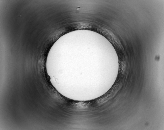 X0000103460326200810101156