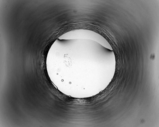 X0000103460328200810101156