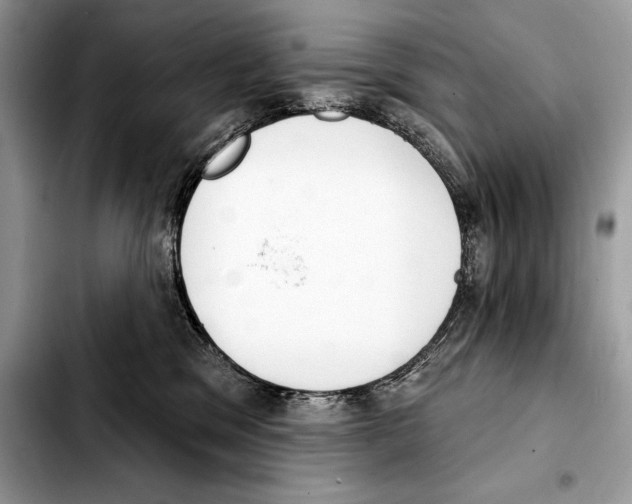 X0000103460329200810101156