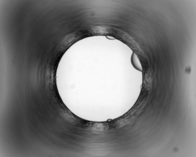 X0000103460330200810101156