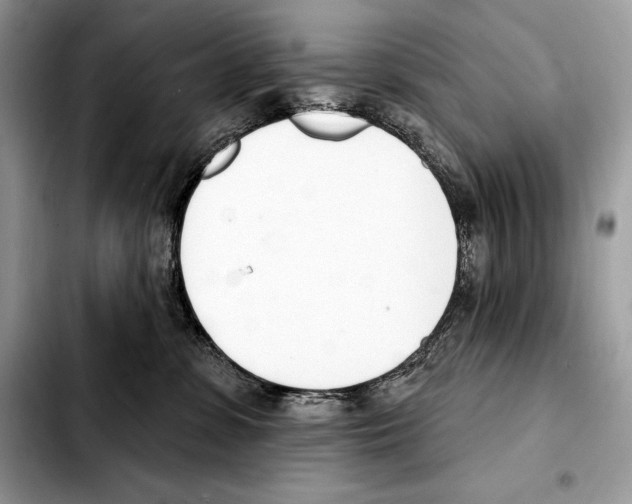 X0000103460331200810101156