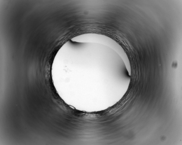 X0000103460332200810101156