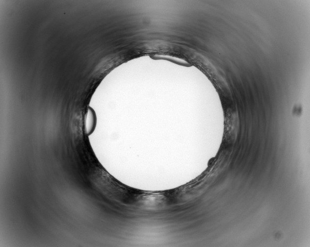 X0000103460333200810101156