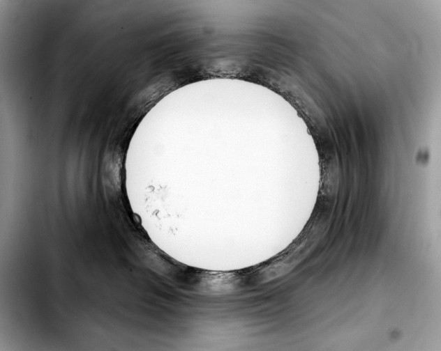 X0000103460334200810101156
