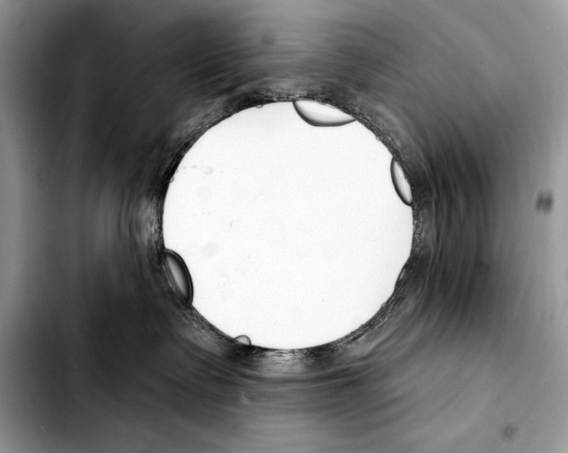 X0000103460335200810101156