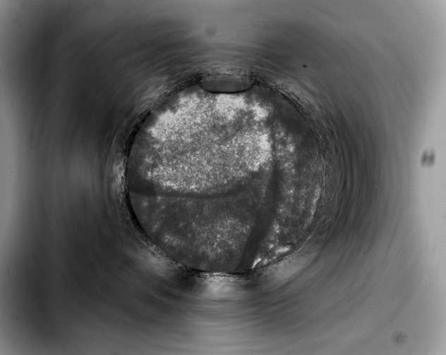 X0000103460336200810101156