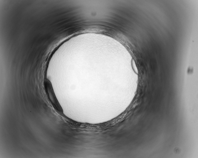 X0000103460337200810101155