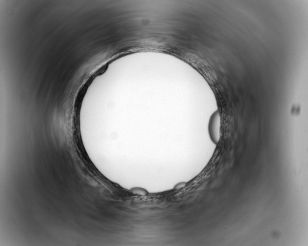X0000103460338200810101155