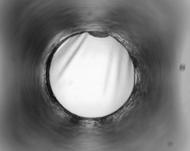 X0000103460339200810101155
