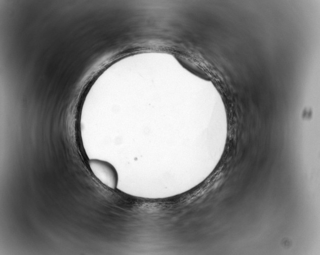 X0000103460341200810101155