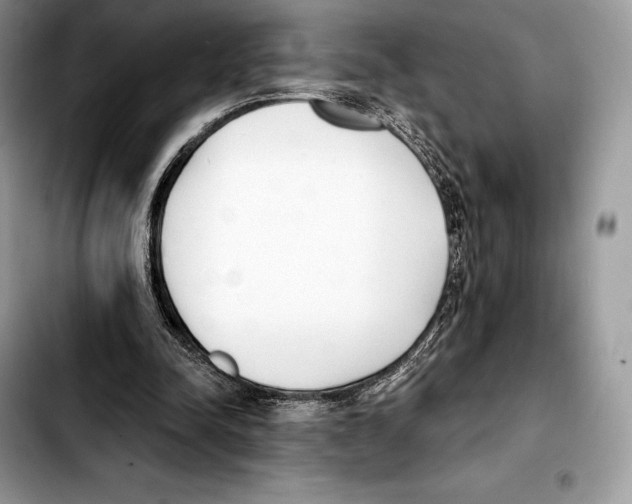 X0000103460342200810101155