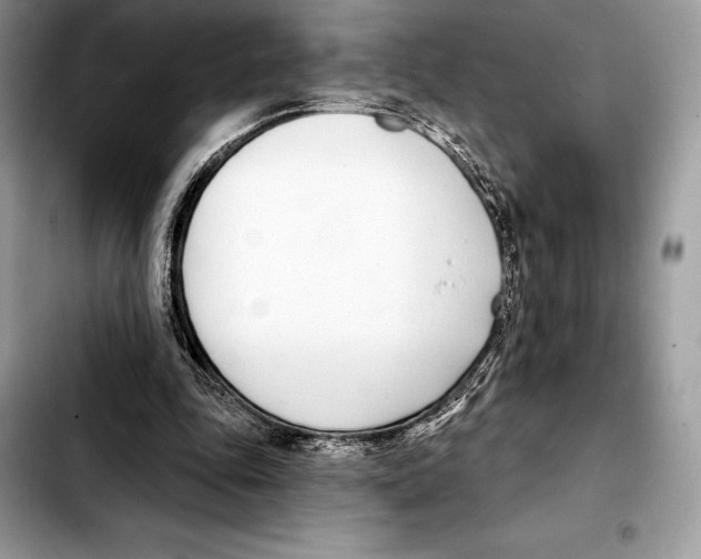 X0000103460343200810101155