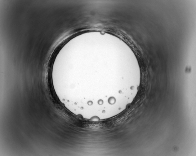 X0000103460344200810101155