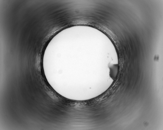 X0000103460345200810101155