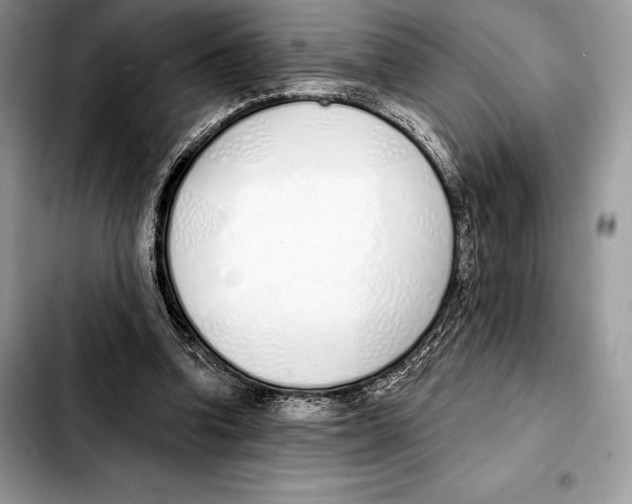 X0000103460346200810101155