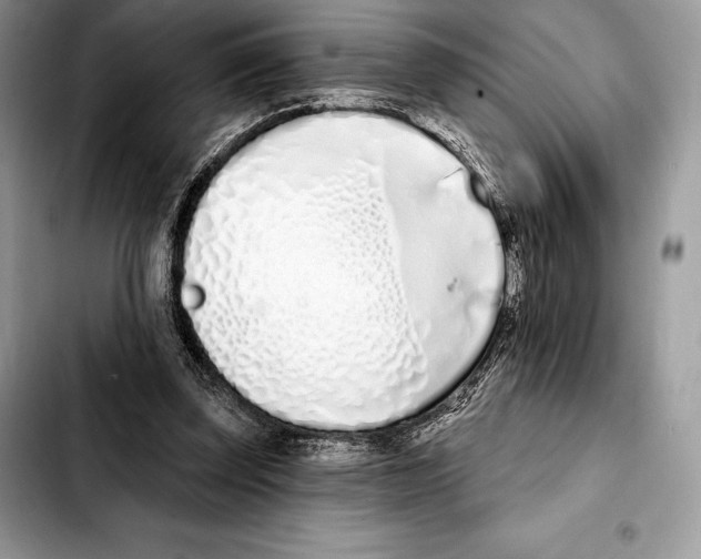 X0000103460347200810101155
