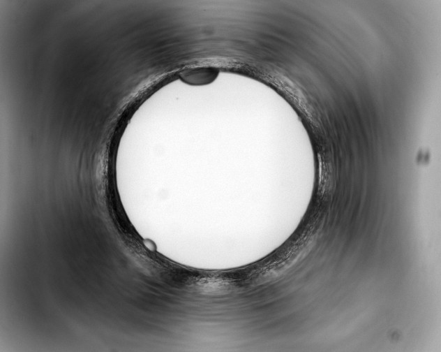 X0000103460348200810101155