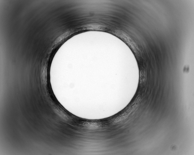 X0000103460349200810101155