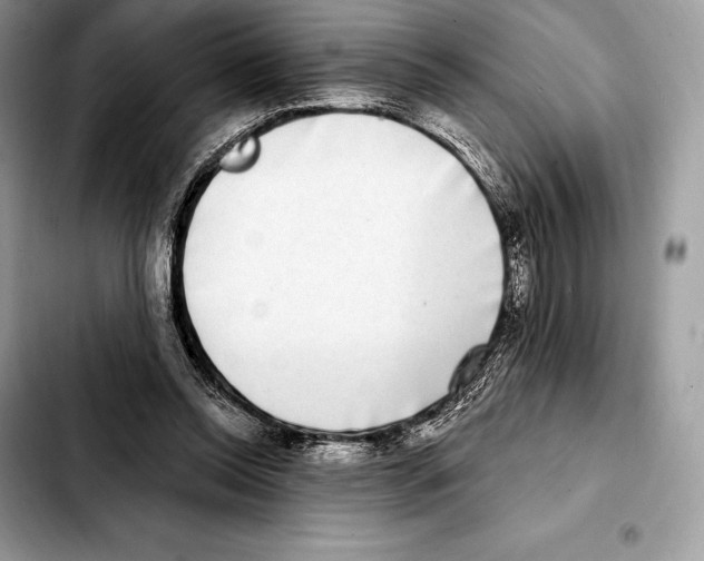 X0000103460350200810101155