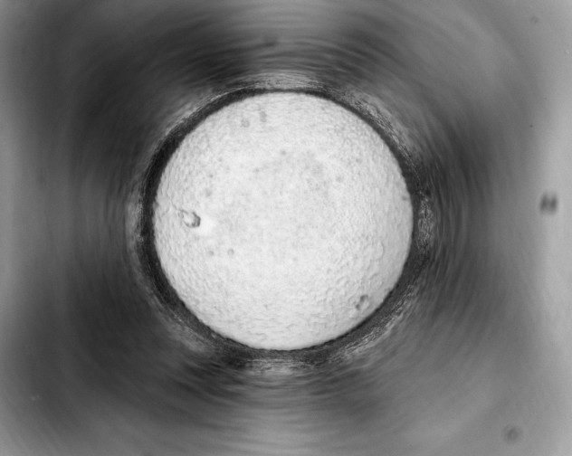 X0000103460351200810101155