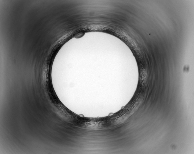 X0000103460356200810101156