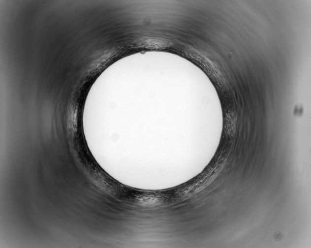 X0000103460358200810101156