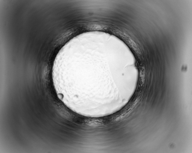 X0000103460359200810101156