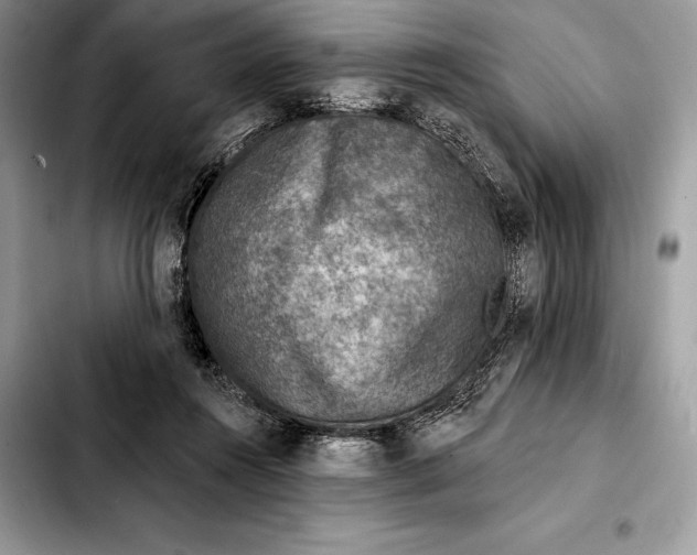 X0000103460360200810101156