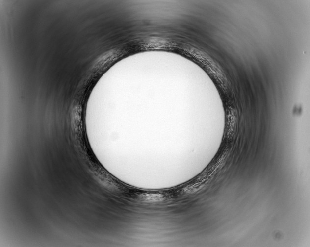 X0000103460361200810101156