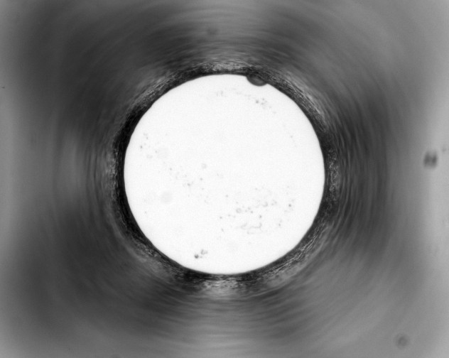 X0000103460362200810101156