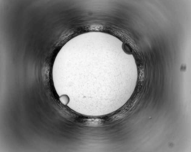 X0000103460363200810101156