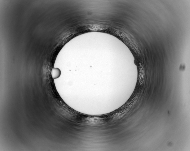 X0000103460367200810101156