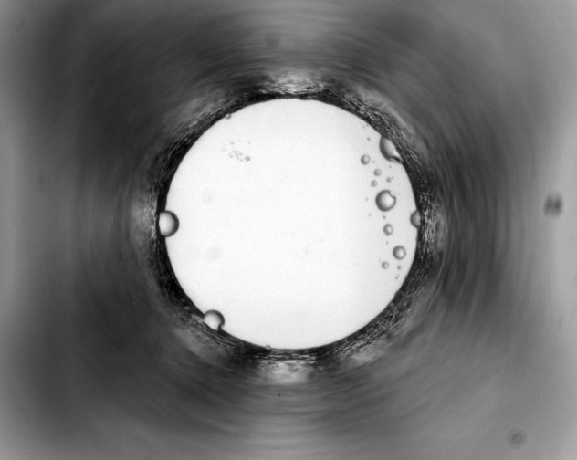 X0000103460368200810101156