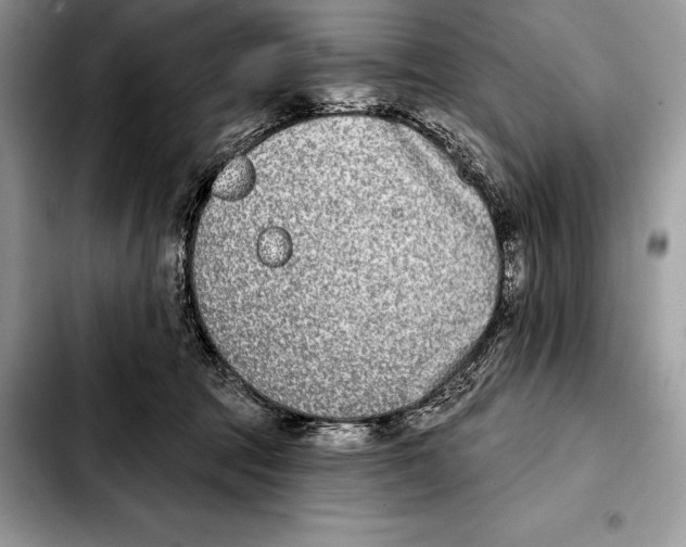 X0000103460369200810101156