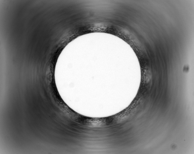 X0000103460370200810101156