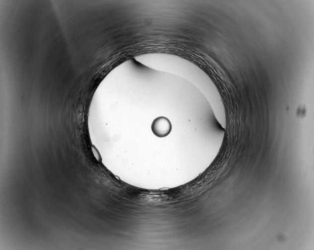 X0000103460372200810101156
