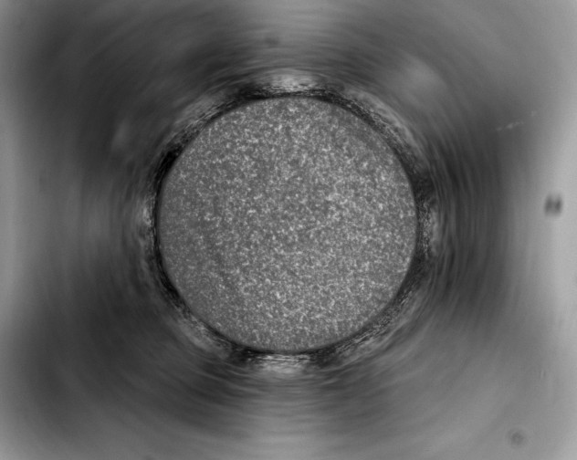X0000103460373200810101156