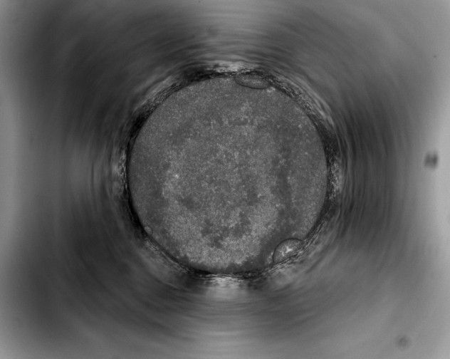 X0000103460376200810101156