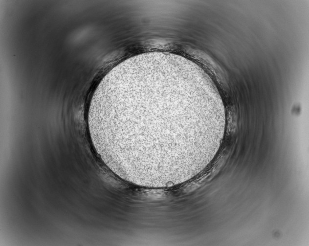 X0000103460377200810101156