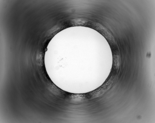 X0000103460378200810101156