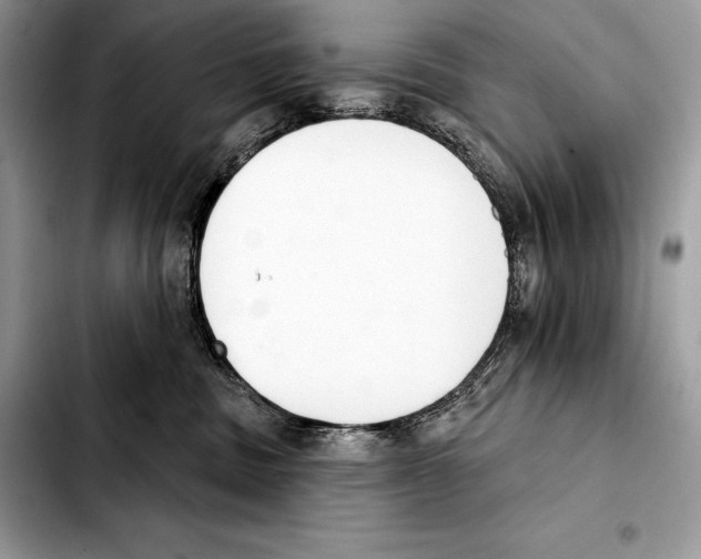 X0000103460379200810101156
