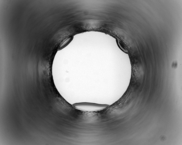 X0000103460380200810101156