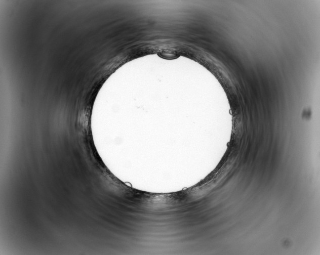 X0000103460382200810101156