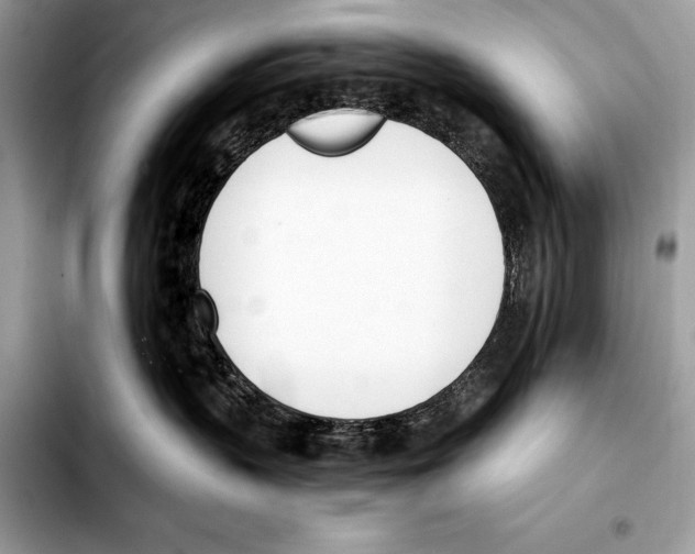 X0000103460383200810101156