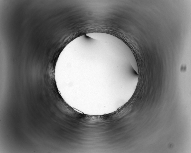 X0000103460384200810101156