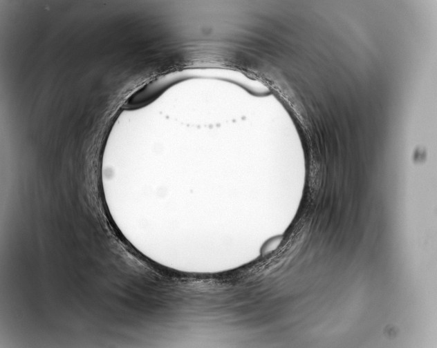 X0000103460385200810101155