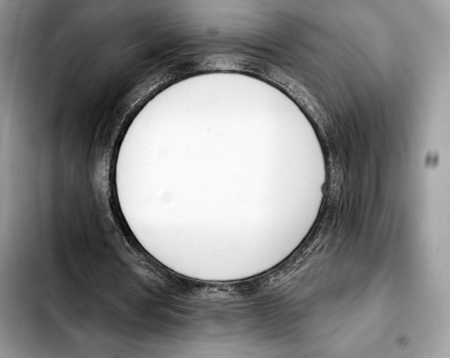 X0000103460386200810101155
