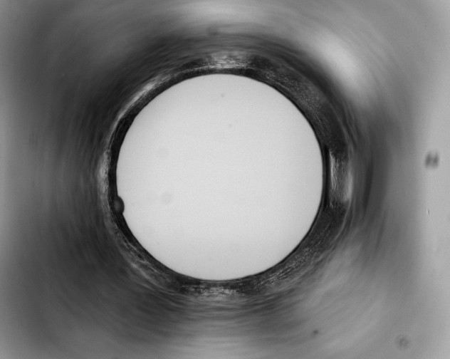 X0000103460387200810101155